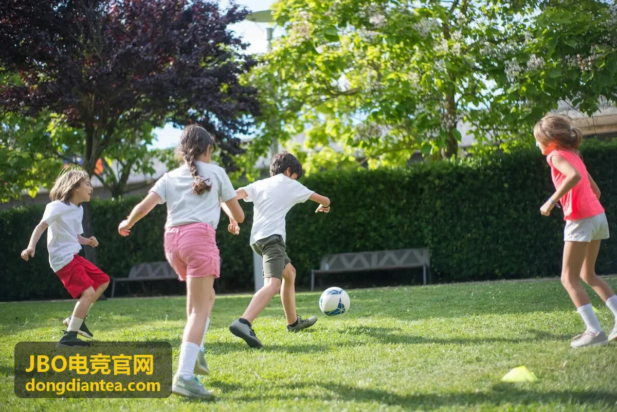 JBO电竞官网案例三