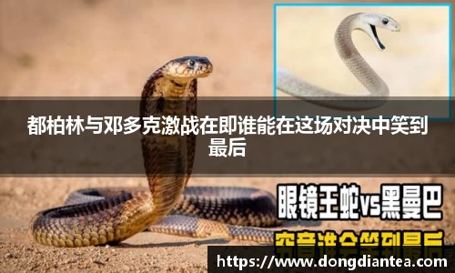 球王会|体育五大联赛最新战报网站