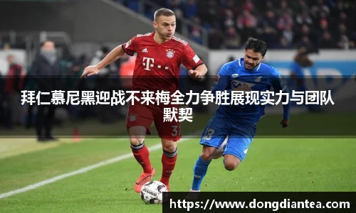 球王会体育官网