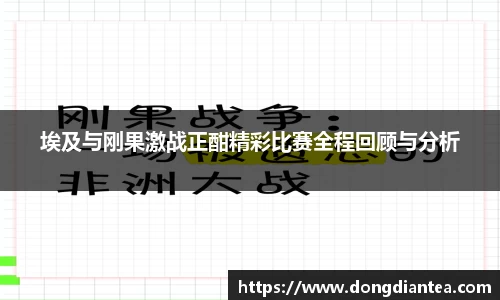 埃及与刚果激战正酣精彩比赛全程回顾与分析