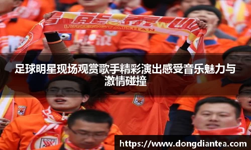足球明星现场观赏歌手精彩演出感受音乐魅力与激情碰撞