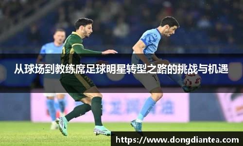 球王会|体育五大联赛最新战报网站