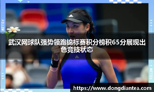 武汉网球队强势领跑锦标赛积分榜积65分展现出色竞技状态